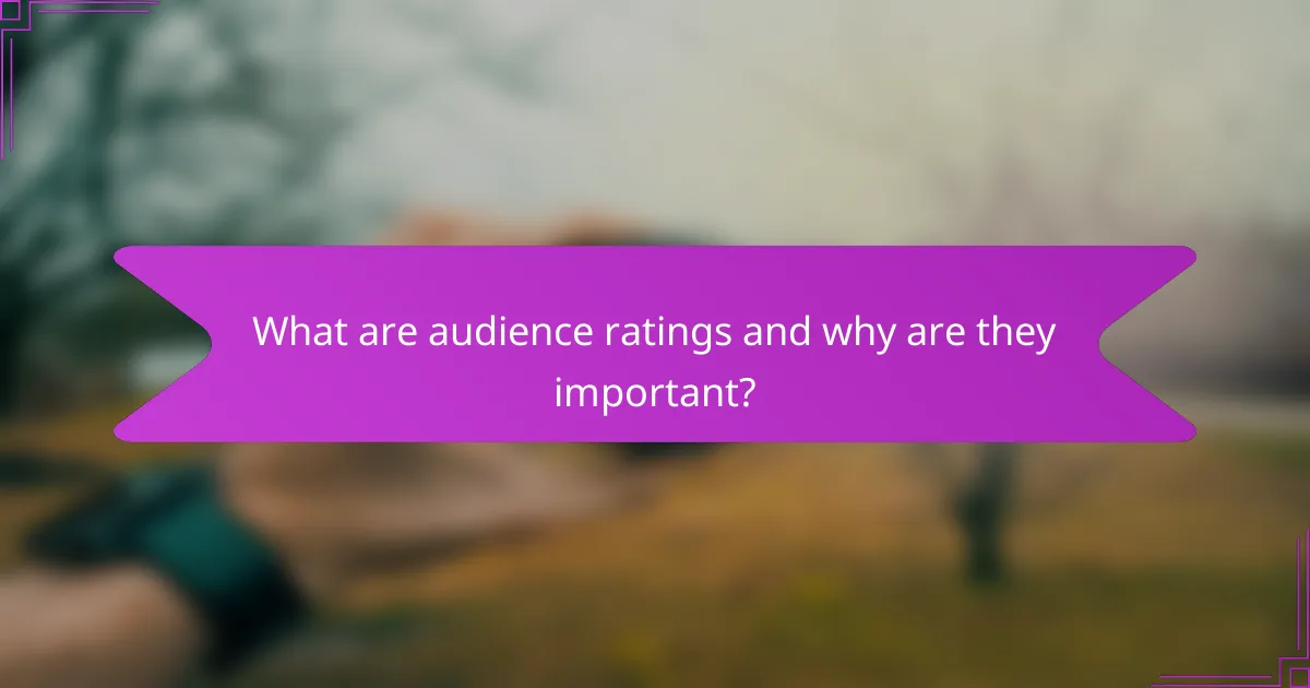 What are audience ratings and why are they important?