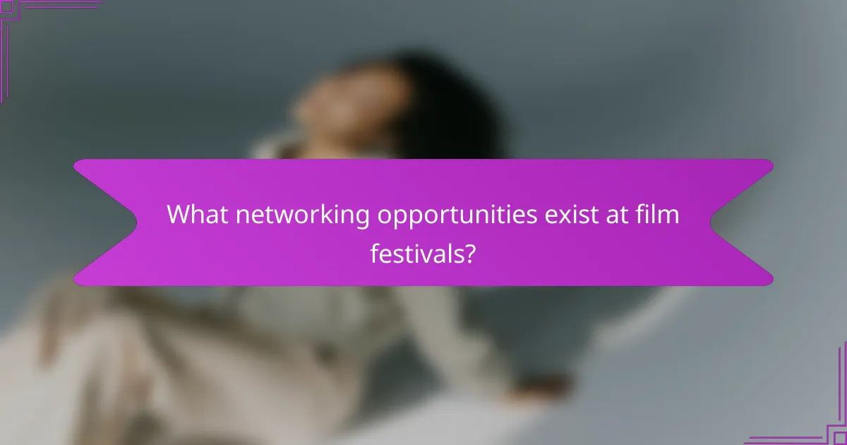 What networking opportunities exist at film festivals?